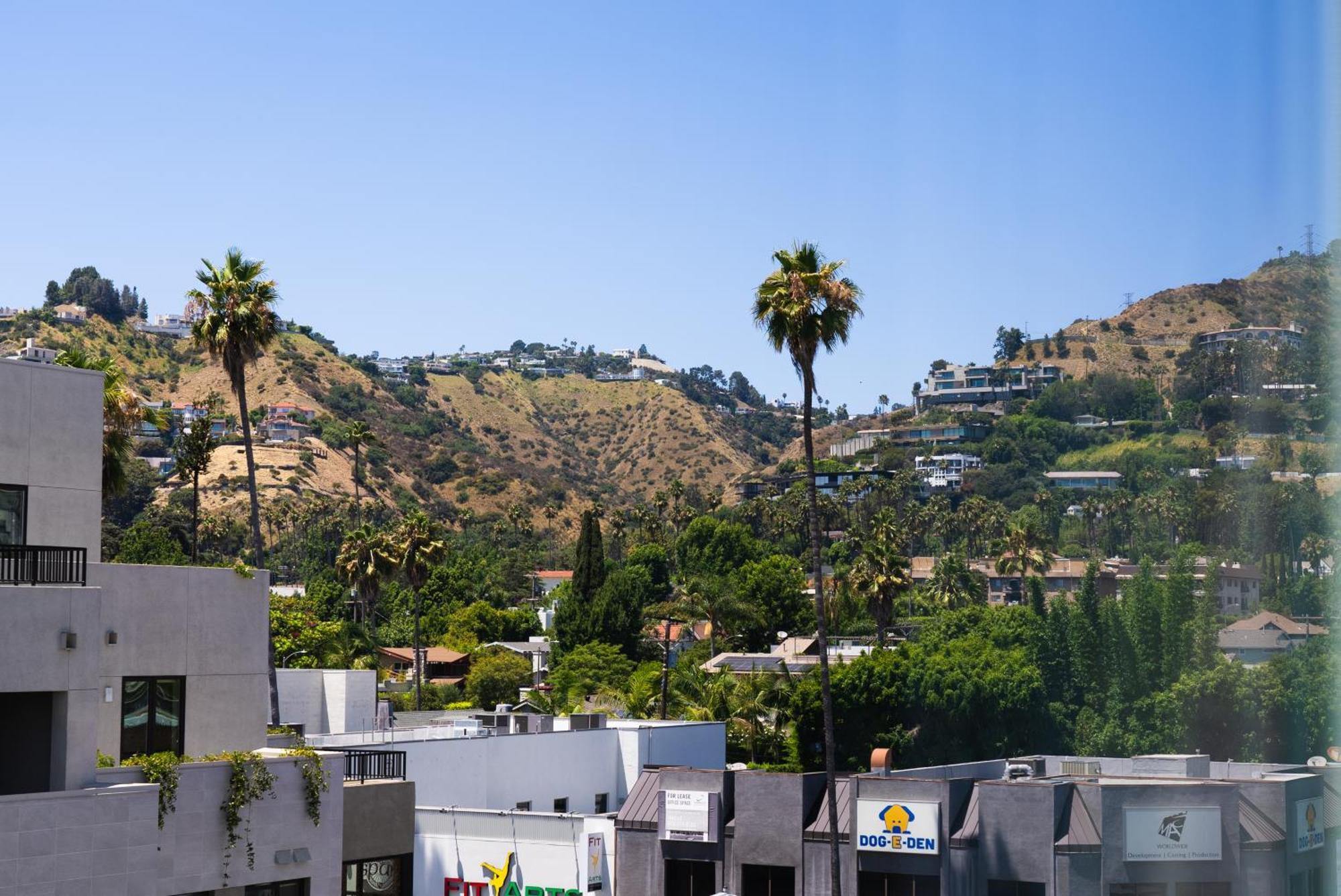 Bright Studio On Sunset Blvd Pool, Parking, Gym, Los Angeles